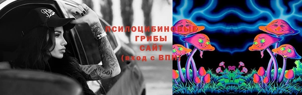 PSILOCYBIN Козловка